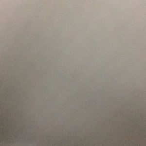 Meet your Posher, Zayne